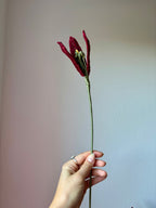 Bouquet de fleurs Ruby