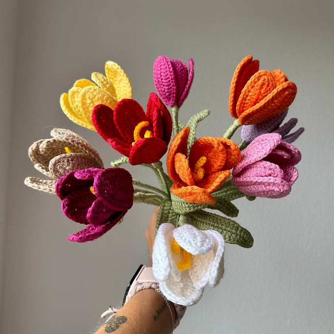 Tulipe