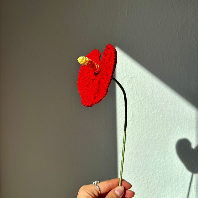 Anthurium