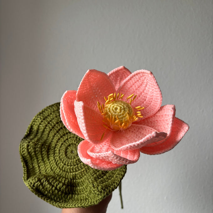 Nénuphar