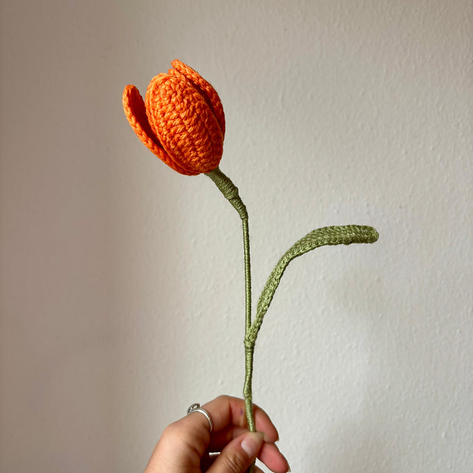 Tulipe