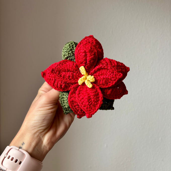 Poinsettia