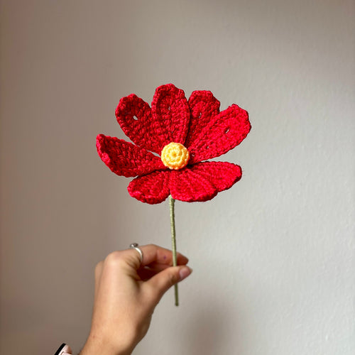 Cosmos