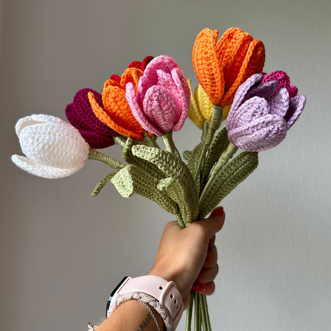 Tulipe