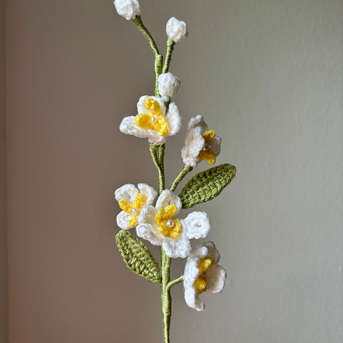 Jasmin