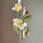 Jasmin