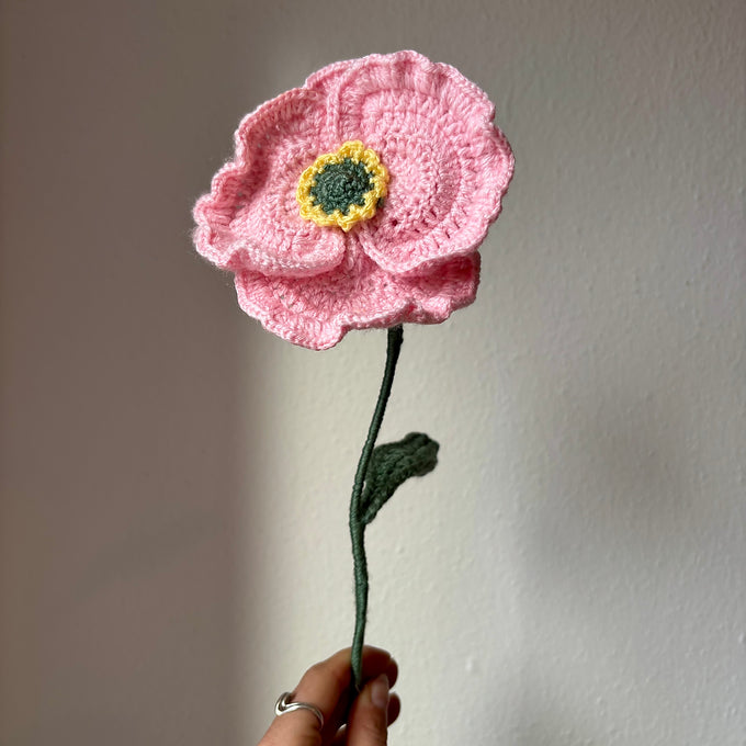 Coquelicot réaliste