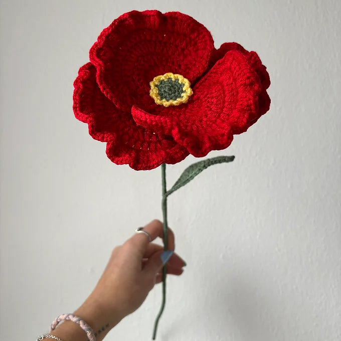 Coquelicot réaliste