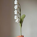 Muguet simple