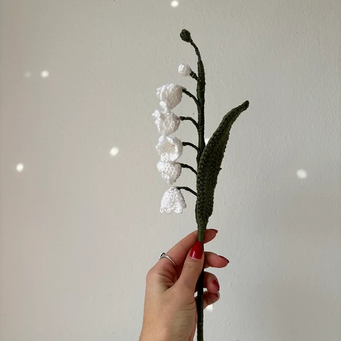 Muguet bouture