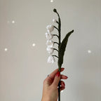 Muguet bouture