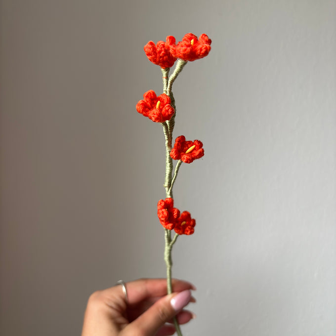 Petites fleurs