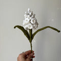 Jacinthe