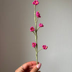 Petites fleurs