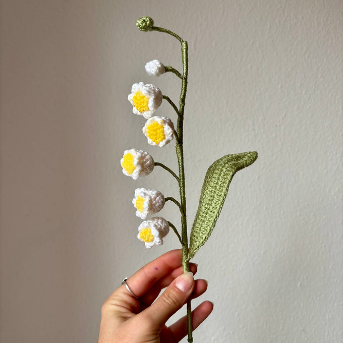 Muguet bouture