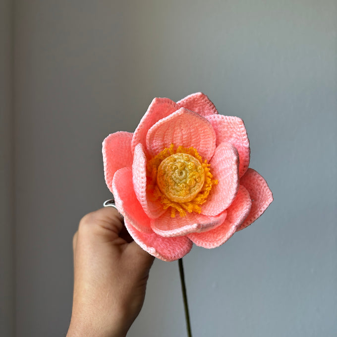 Lotus