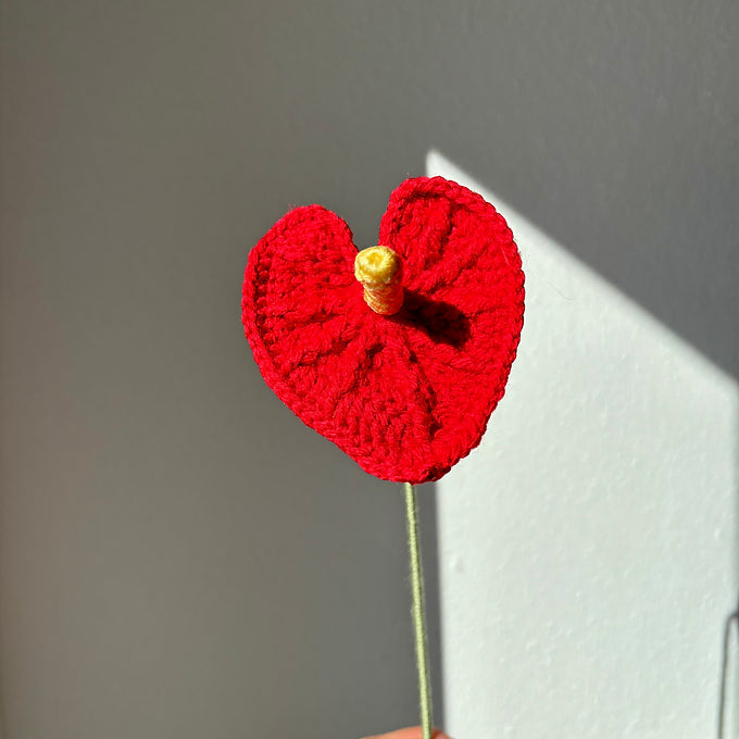 Anthurium