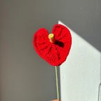 Anthurium