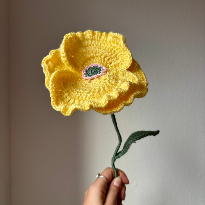 Coquelicot réaliste