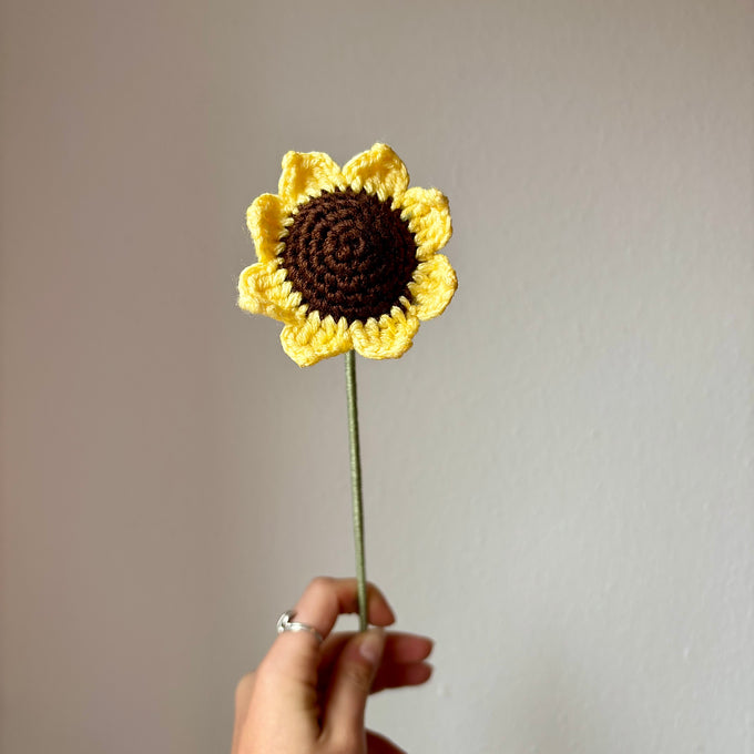 Tournesol mini