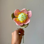Bouture lotus