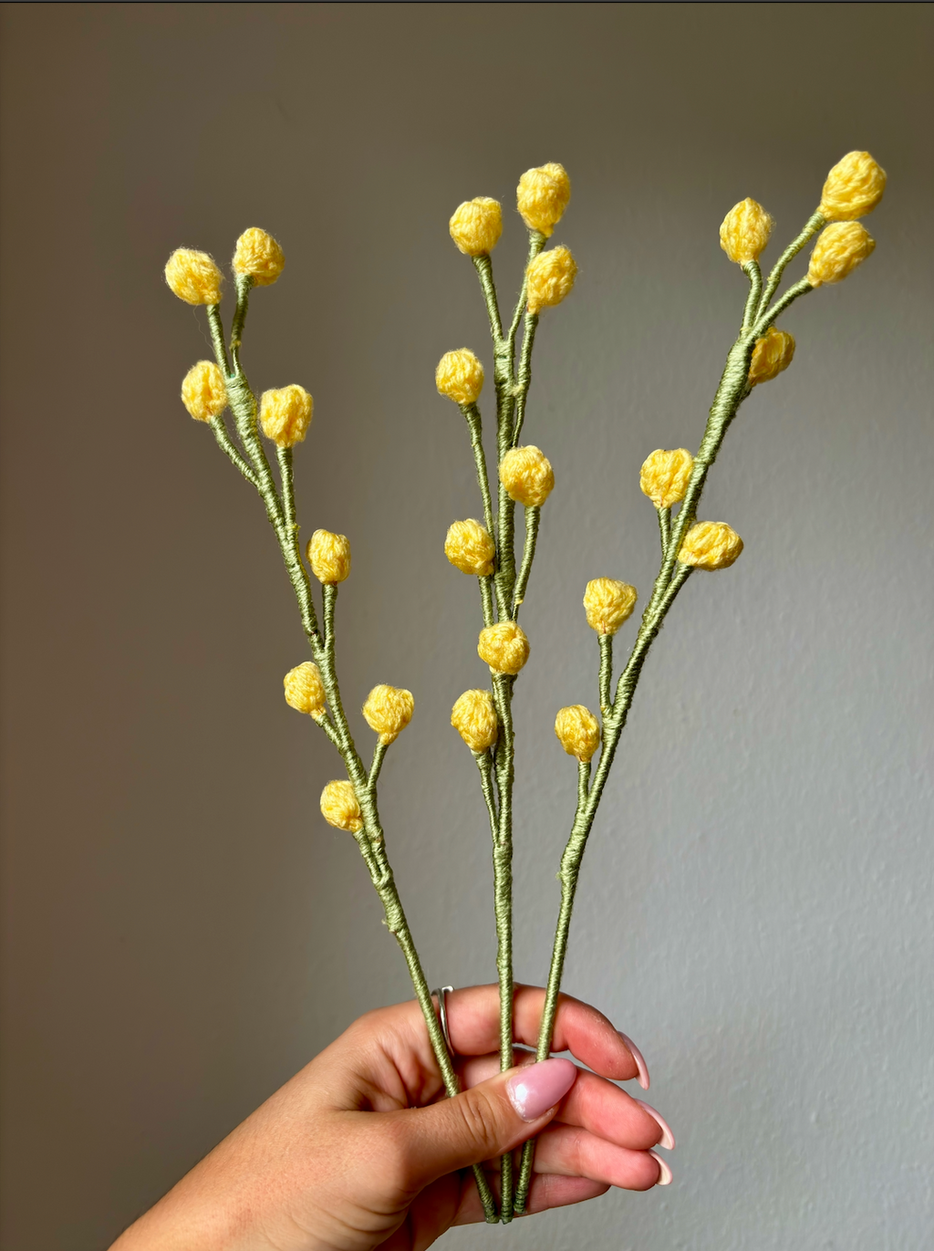 Gypsophile