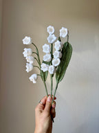 Muguet simple