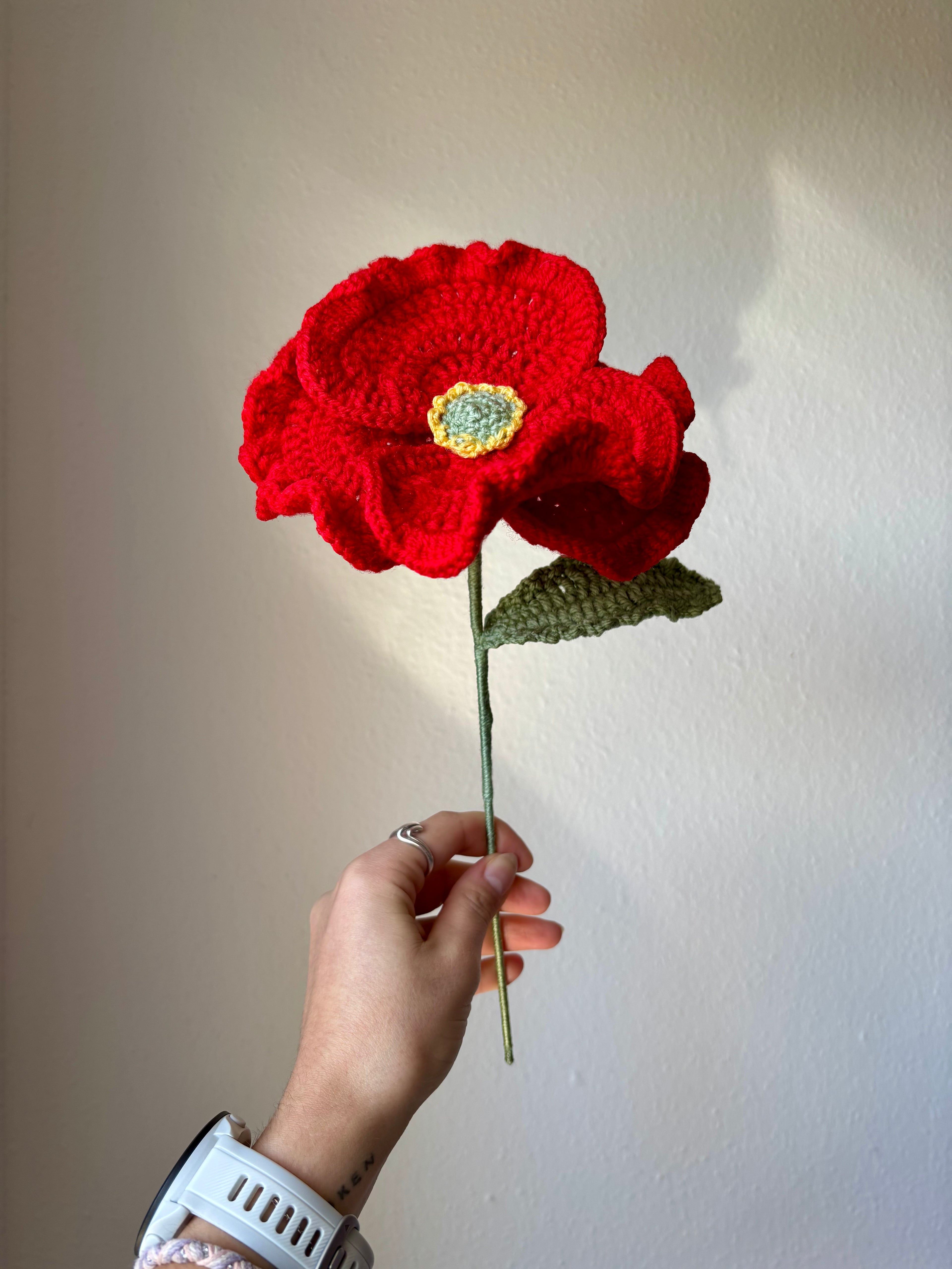 Coquelicot réaliste