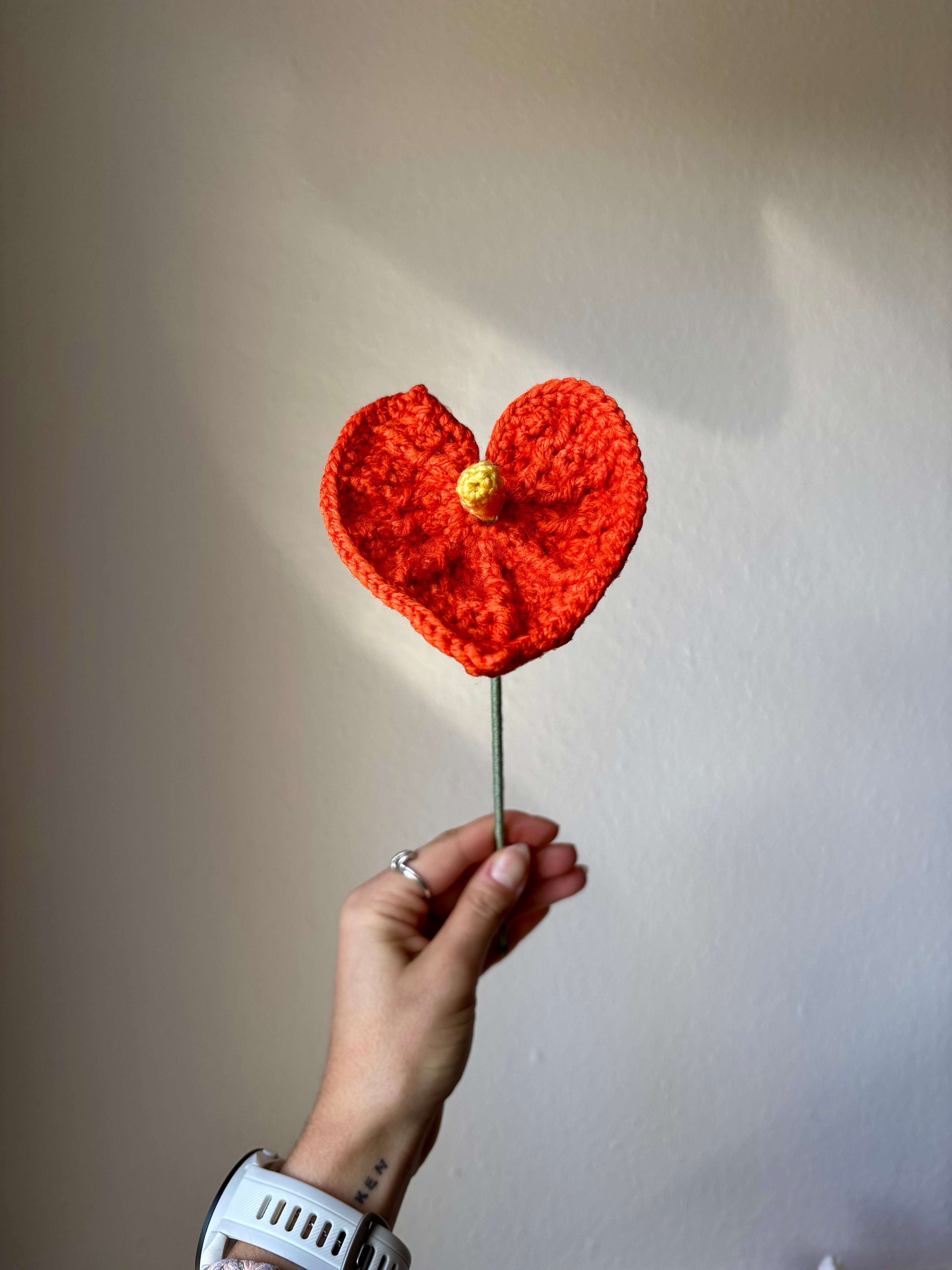 Anthurium
