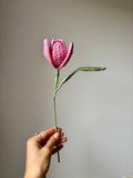 Tulipe