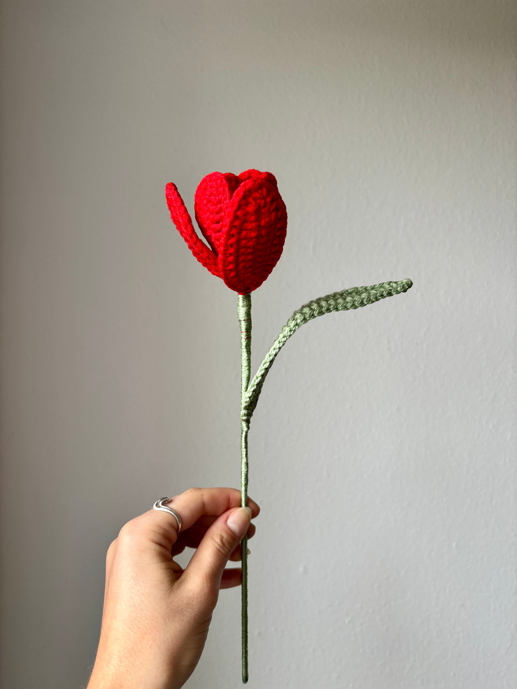 Tulipe