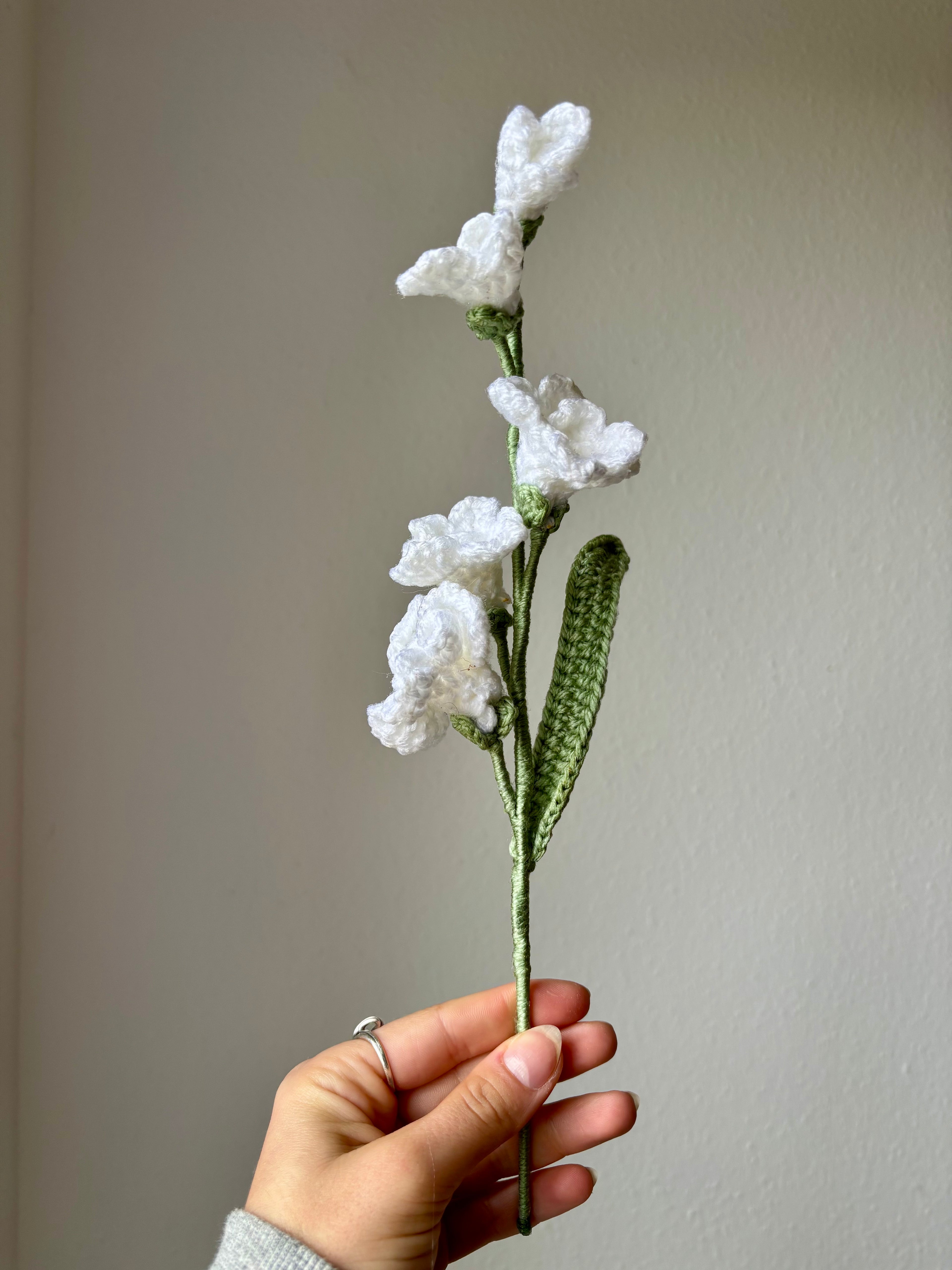 Freesia