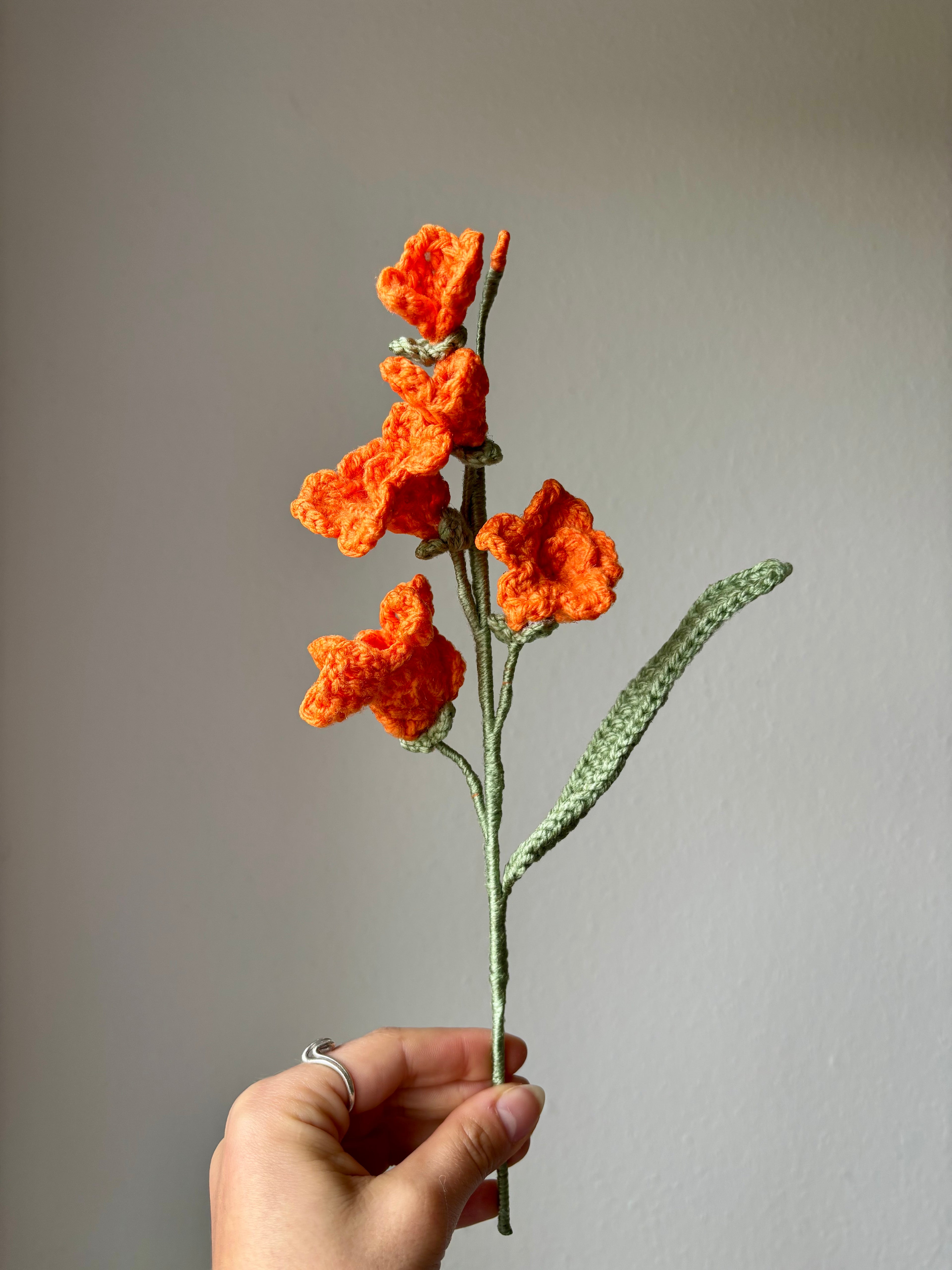 Freesia