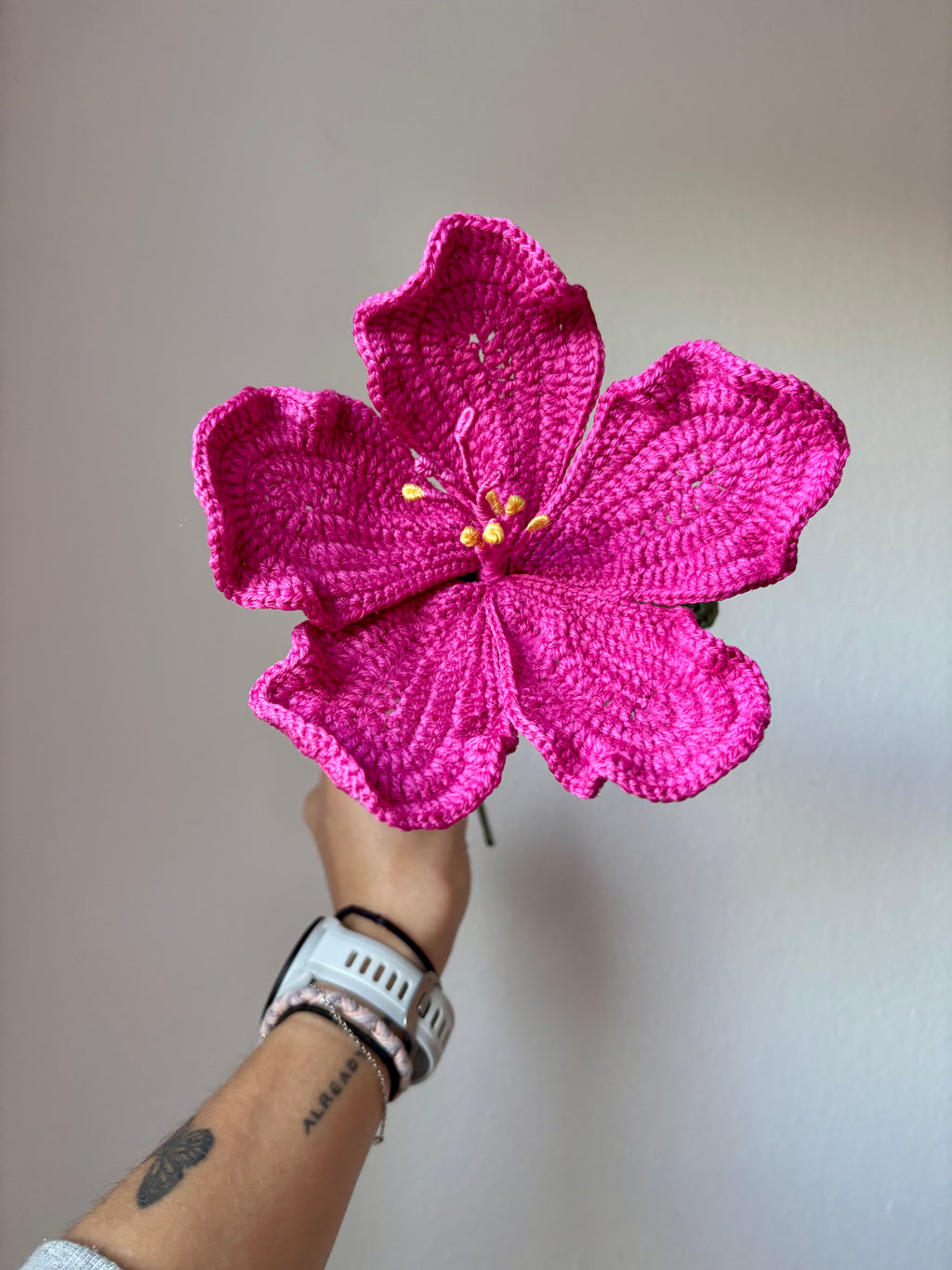 Hibiscus