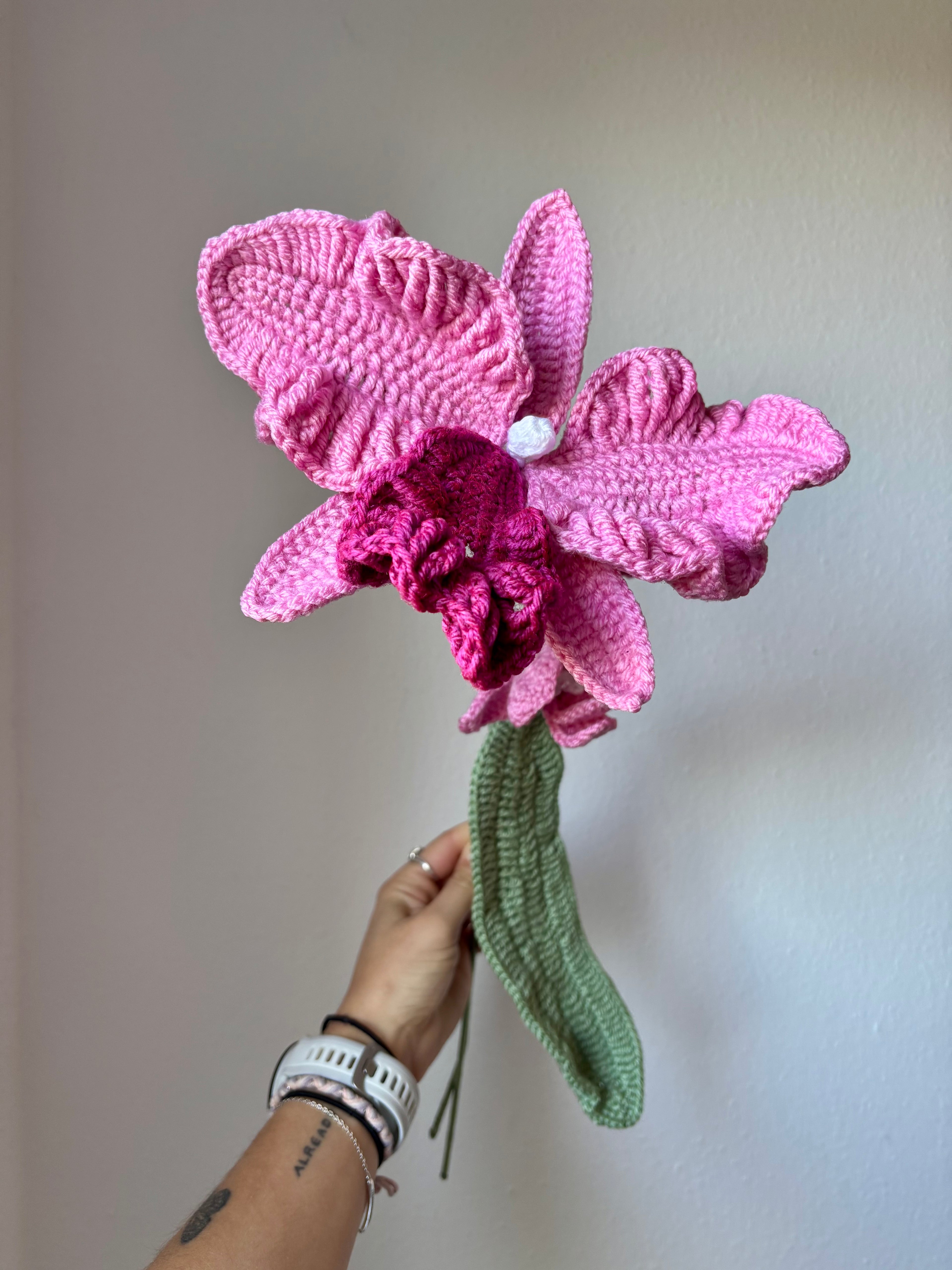 Orchidée