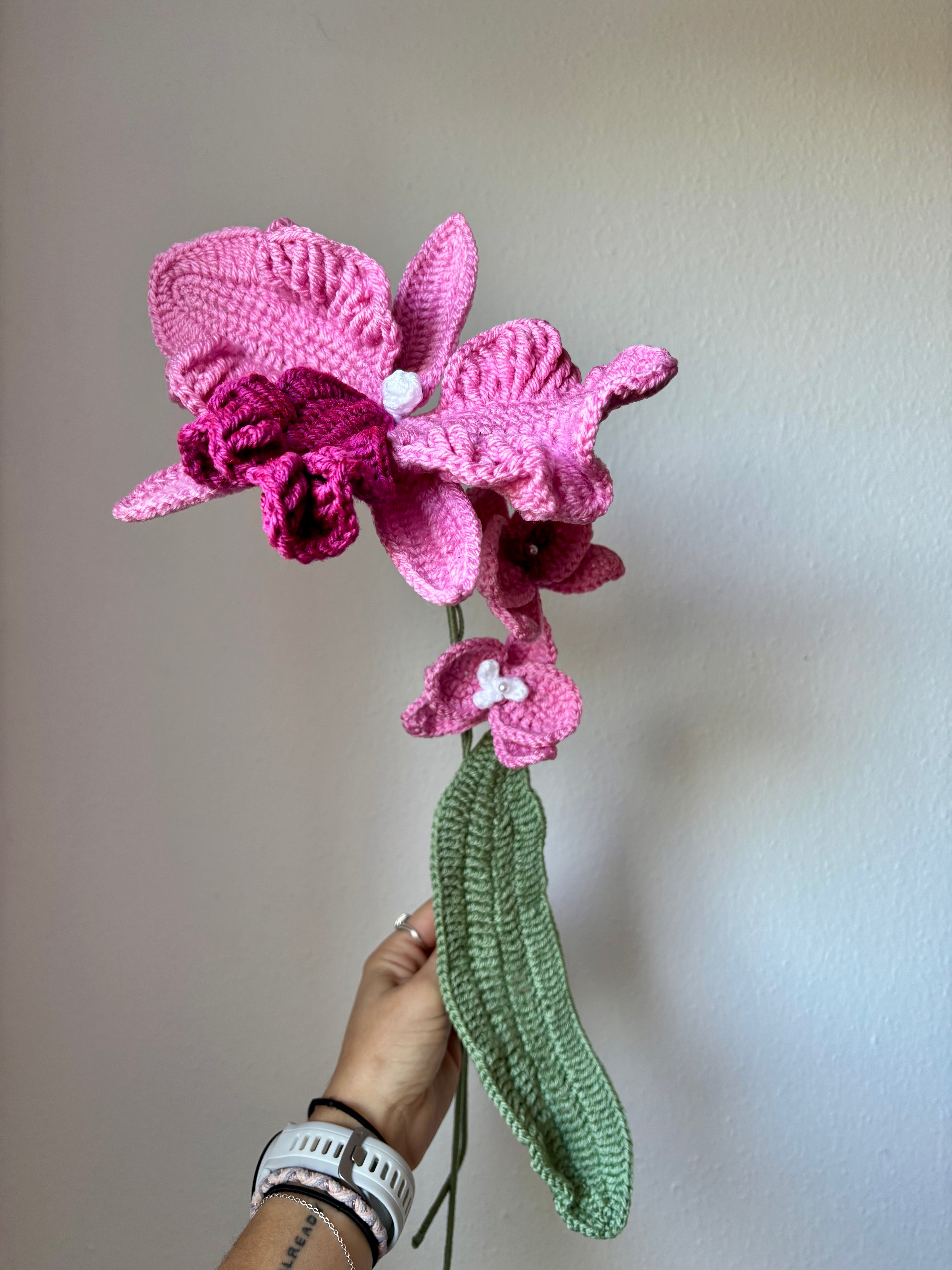 Orchidée