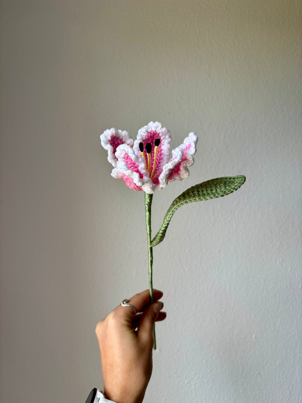 Tulipe perroquet