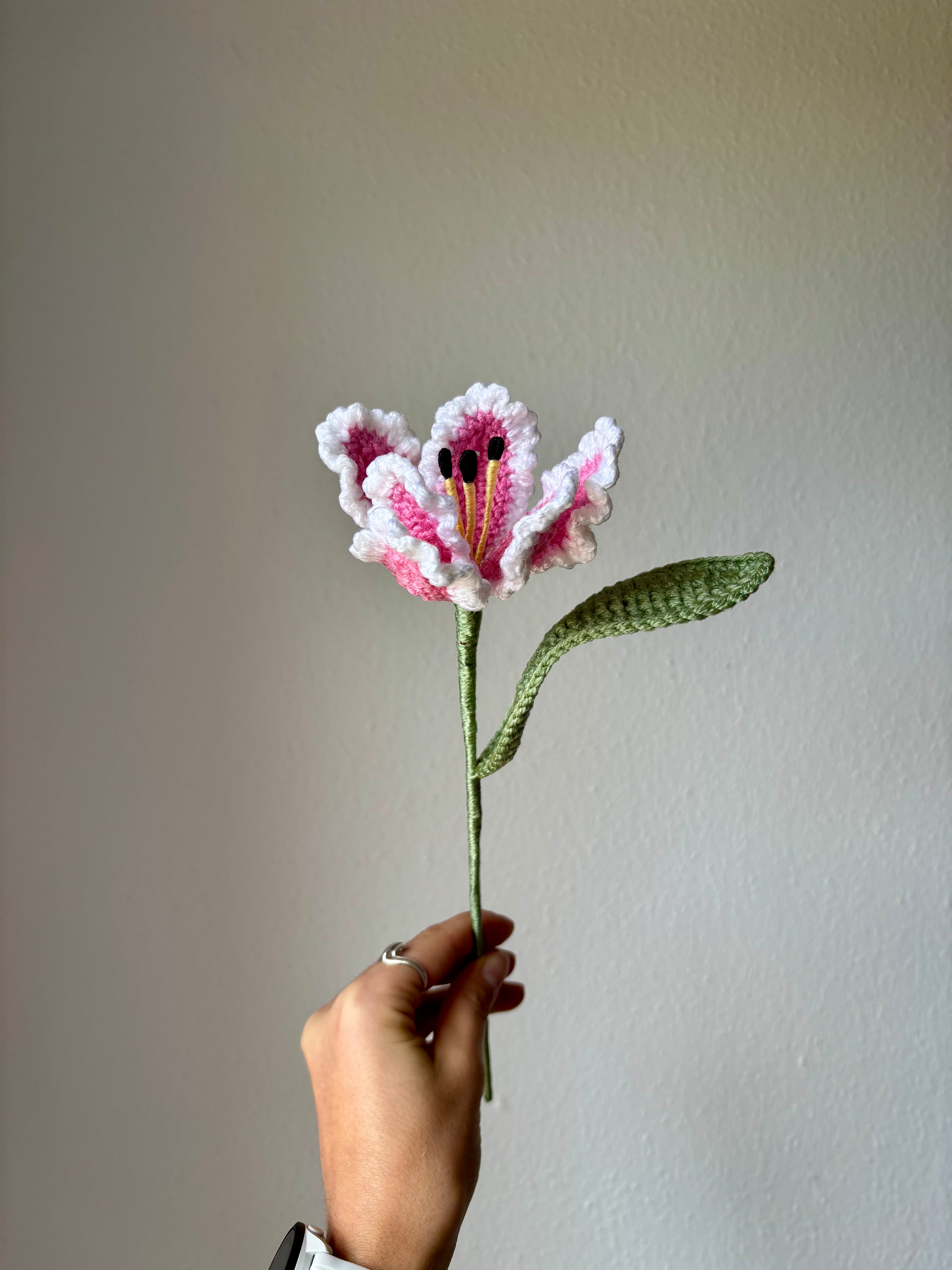 Tulipe perroquet