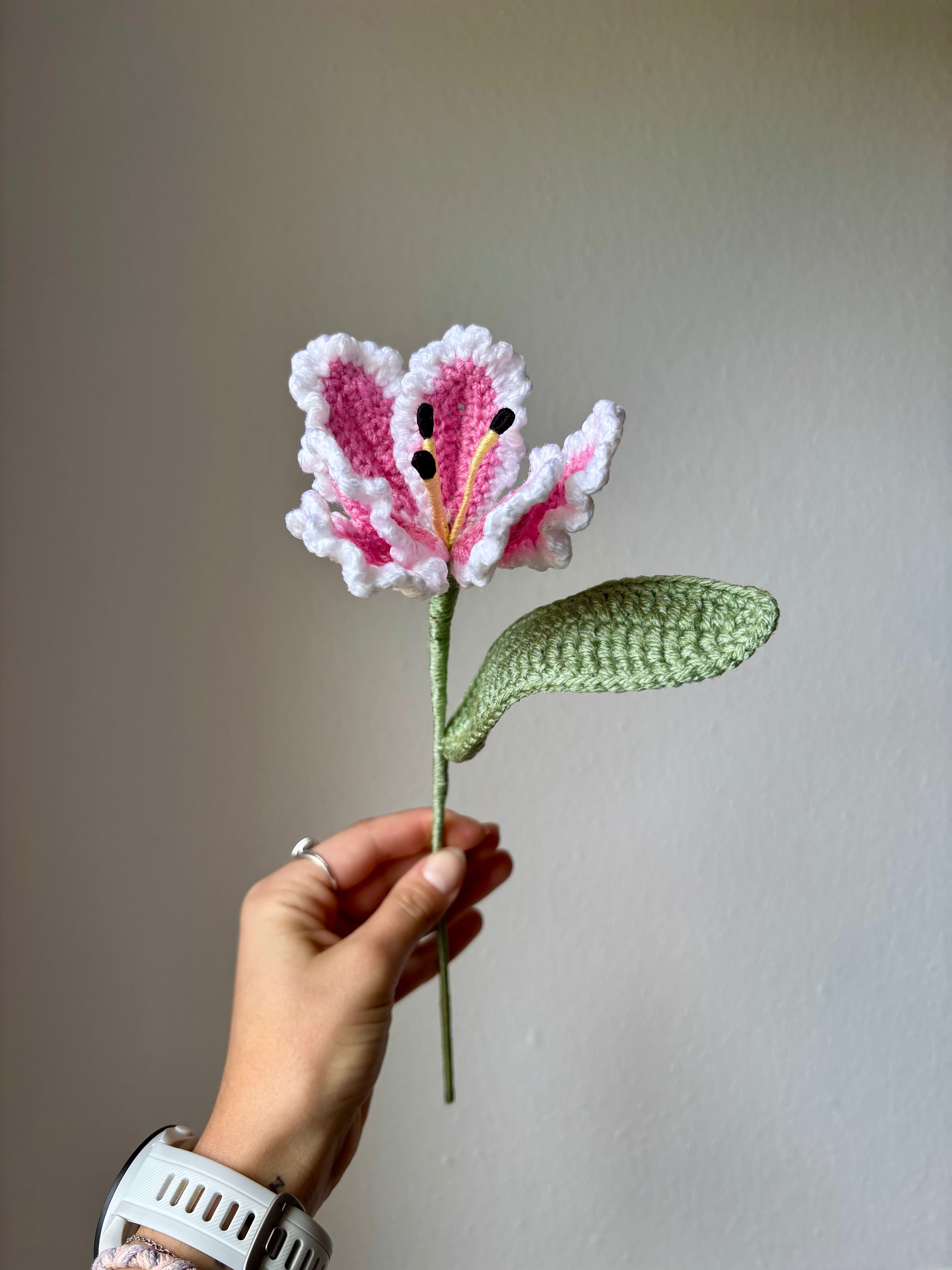 Tulipe perroquet