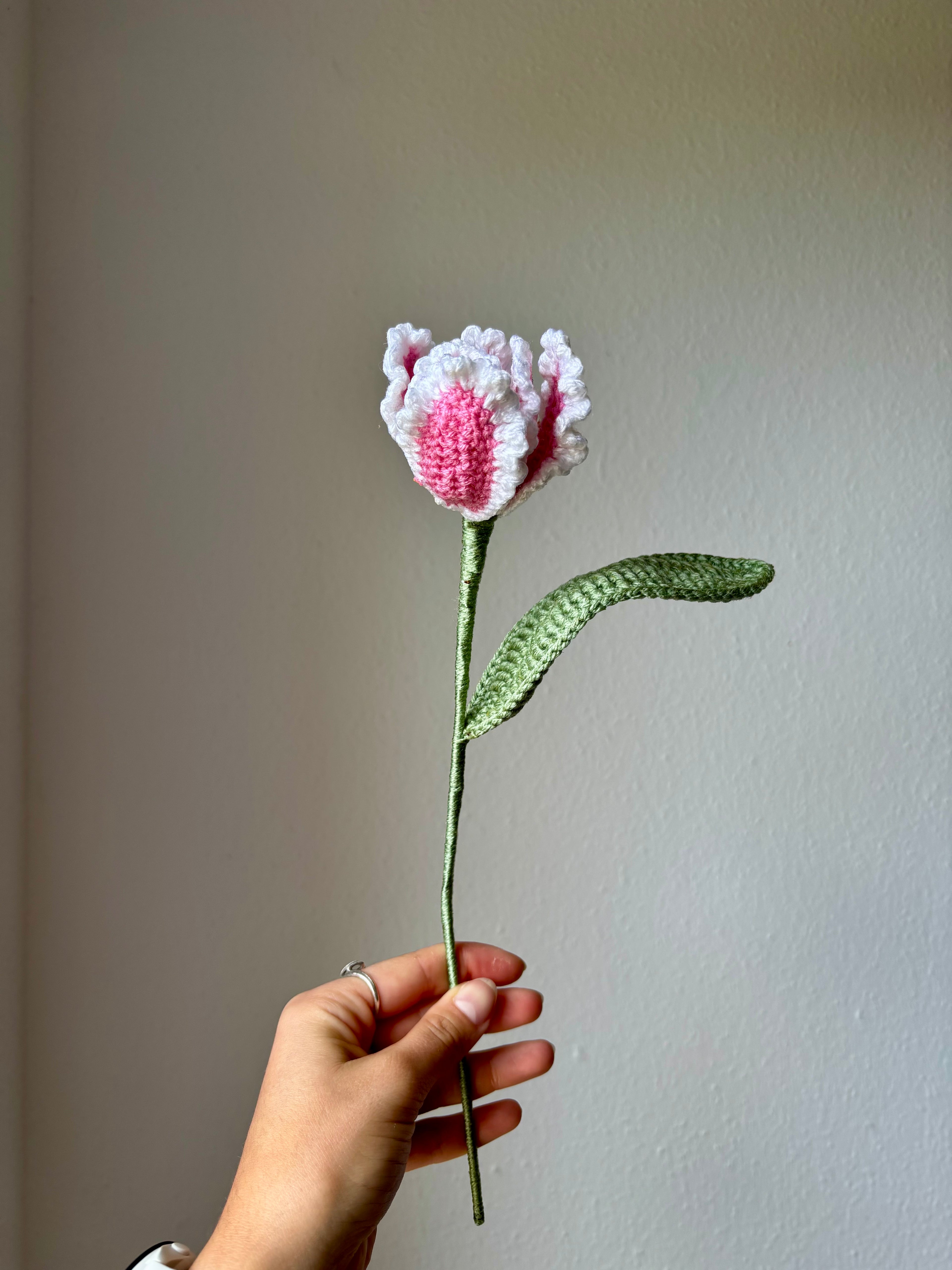 Tulipe perroquet