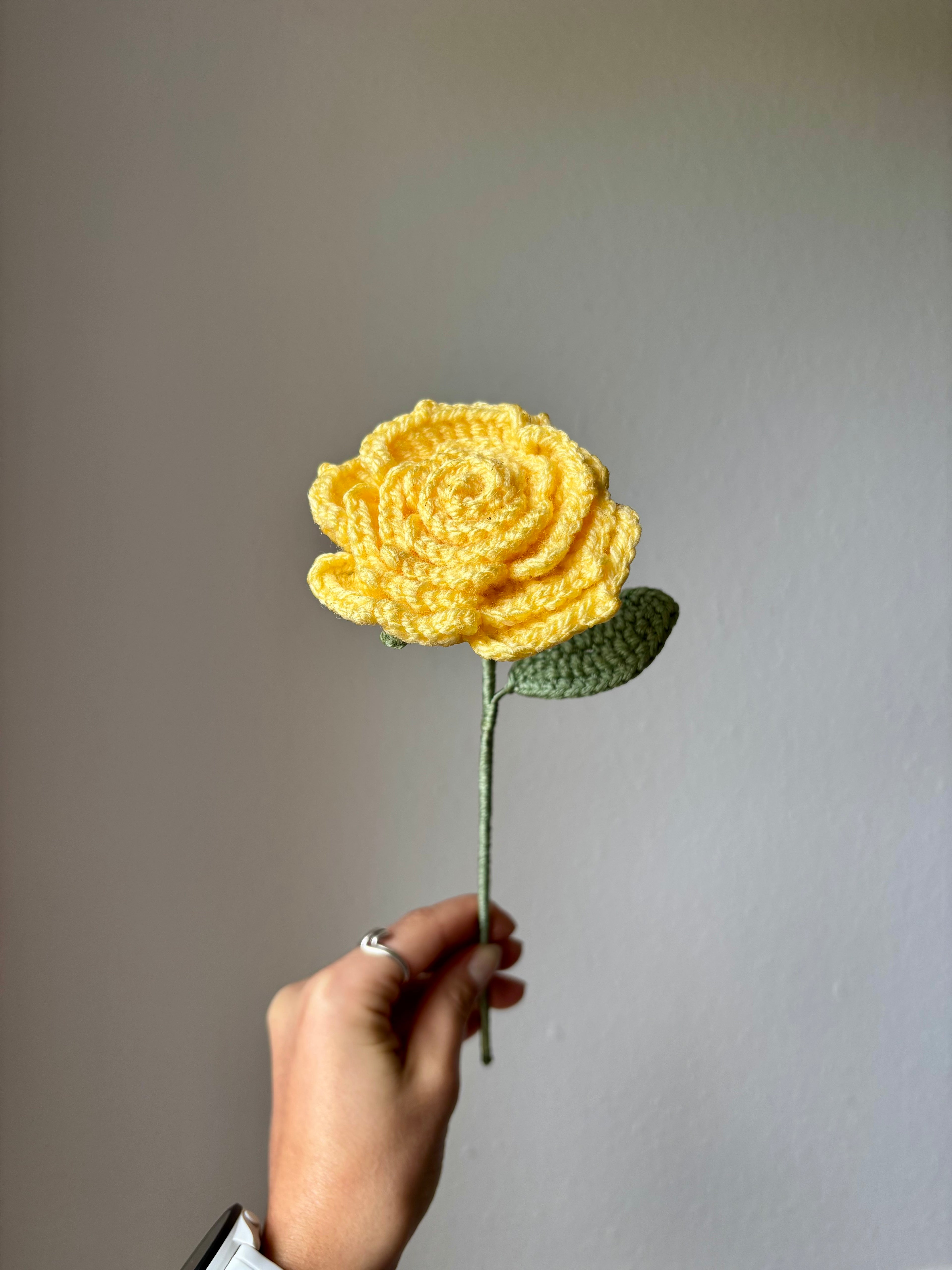 Rose étoilée