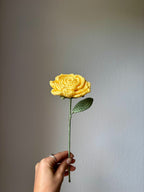 Rose étoilée
