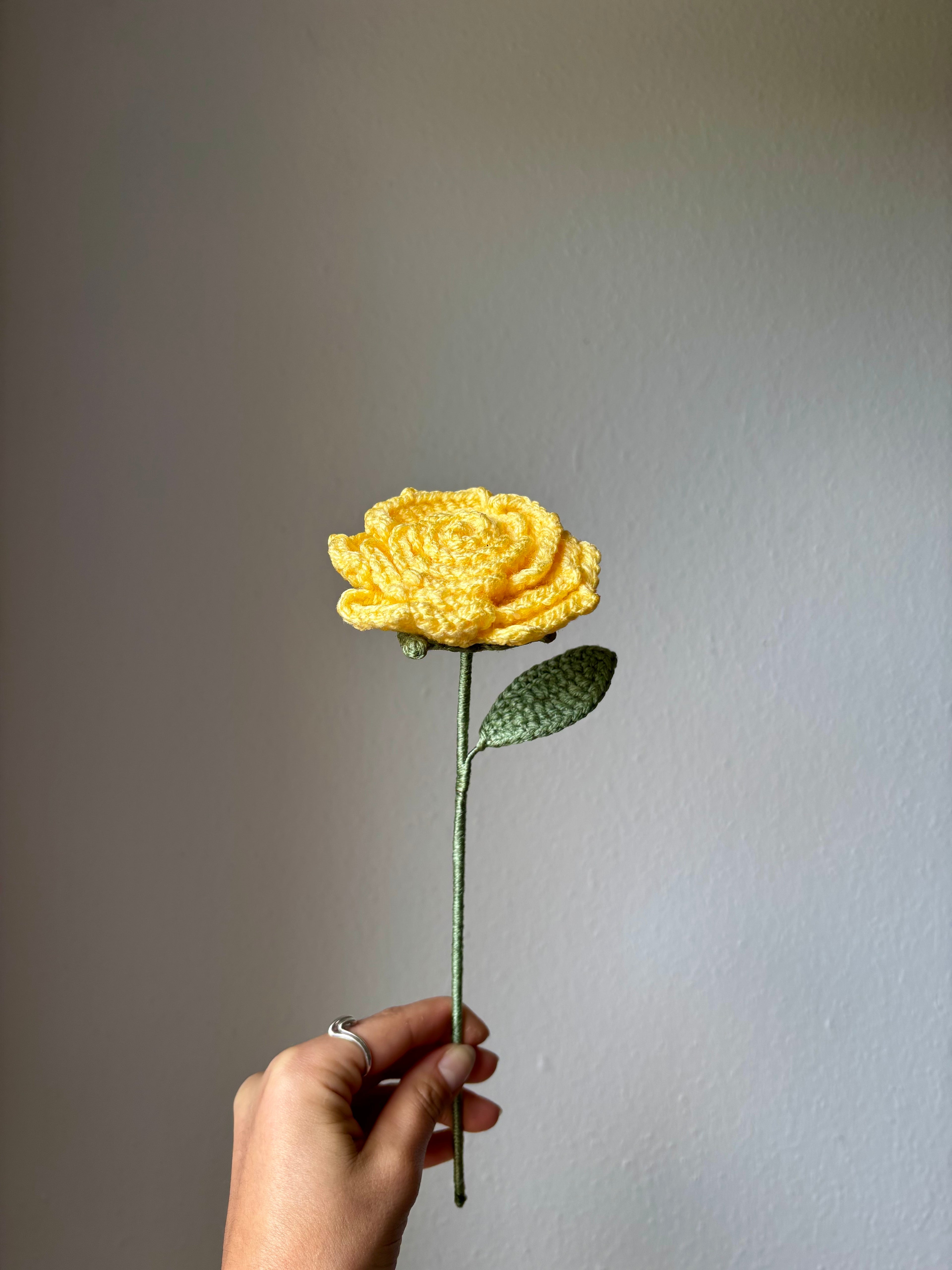 Rose étoilée