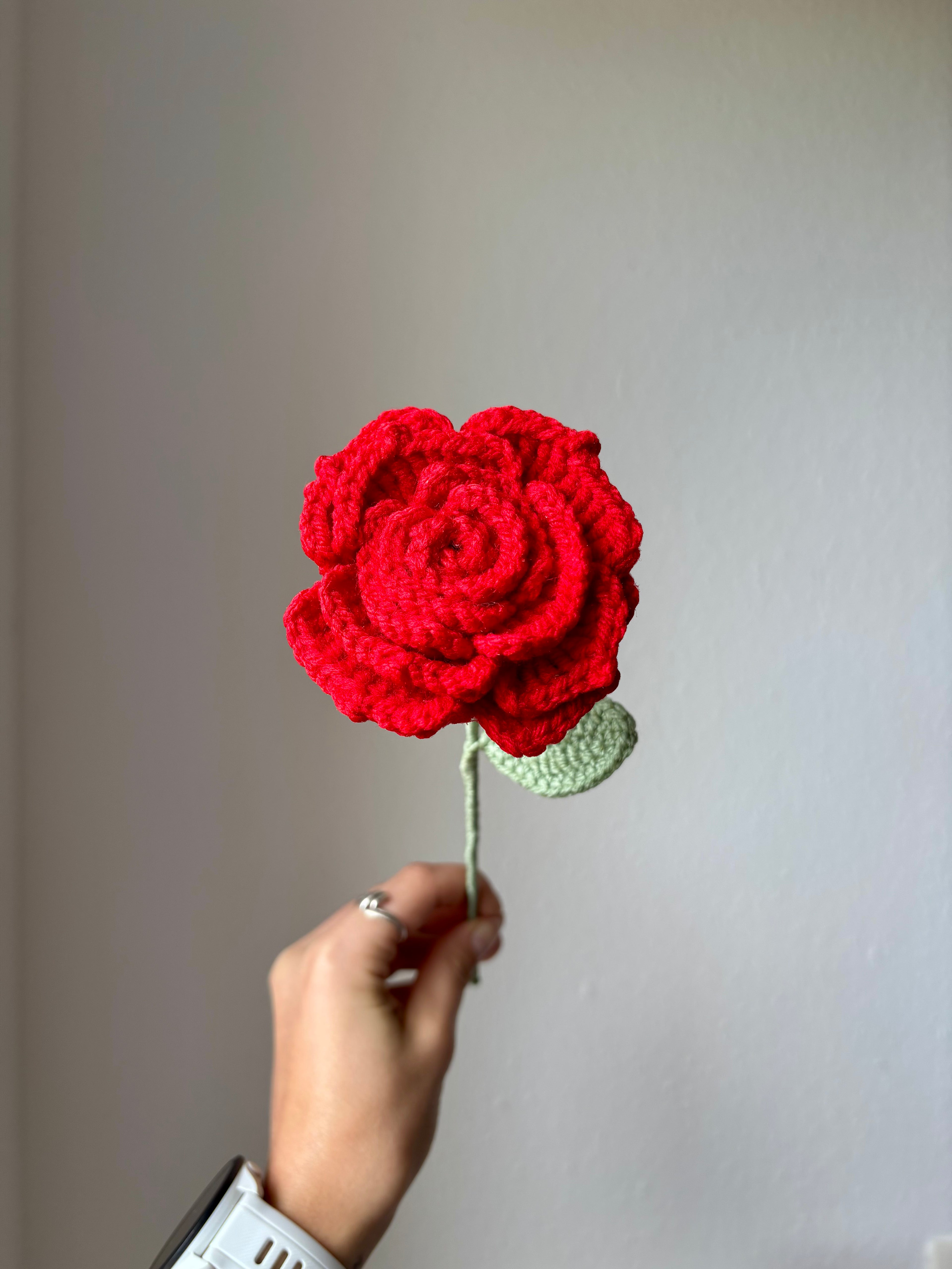 Rose étoilée
