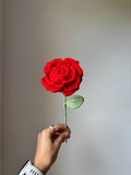 Rose étoilée
