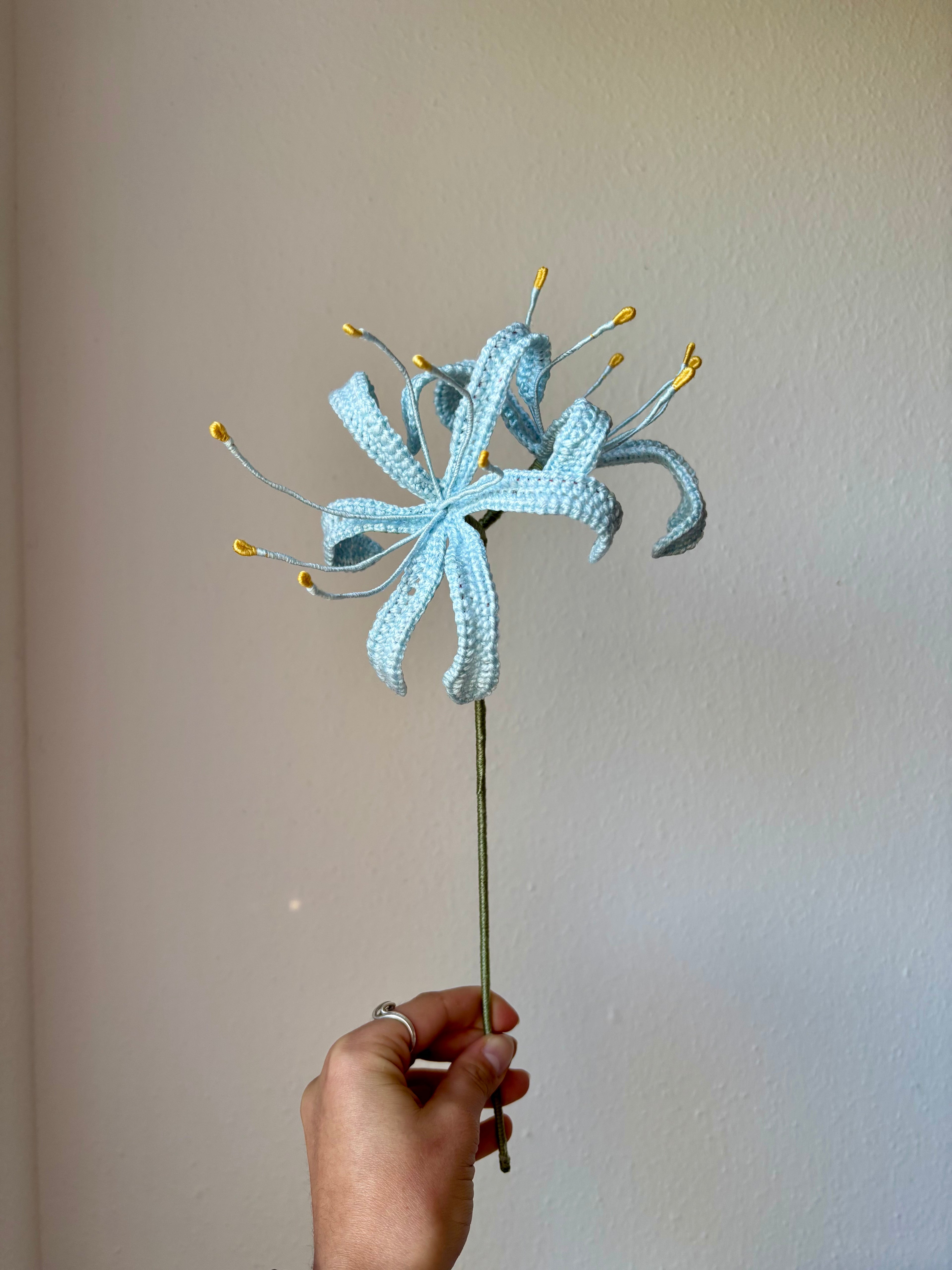 Spider Lily