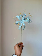 Spider Lily