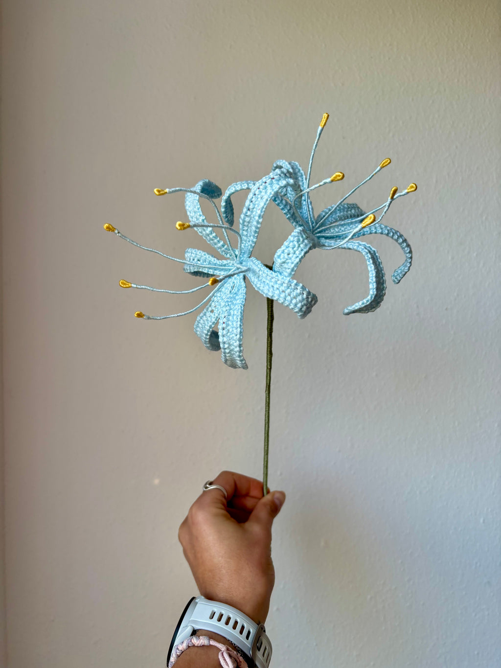 Spider Lily