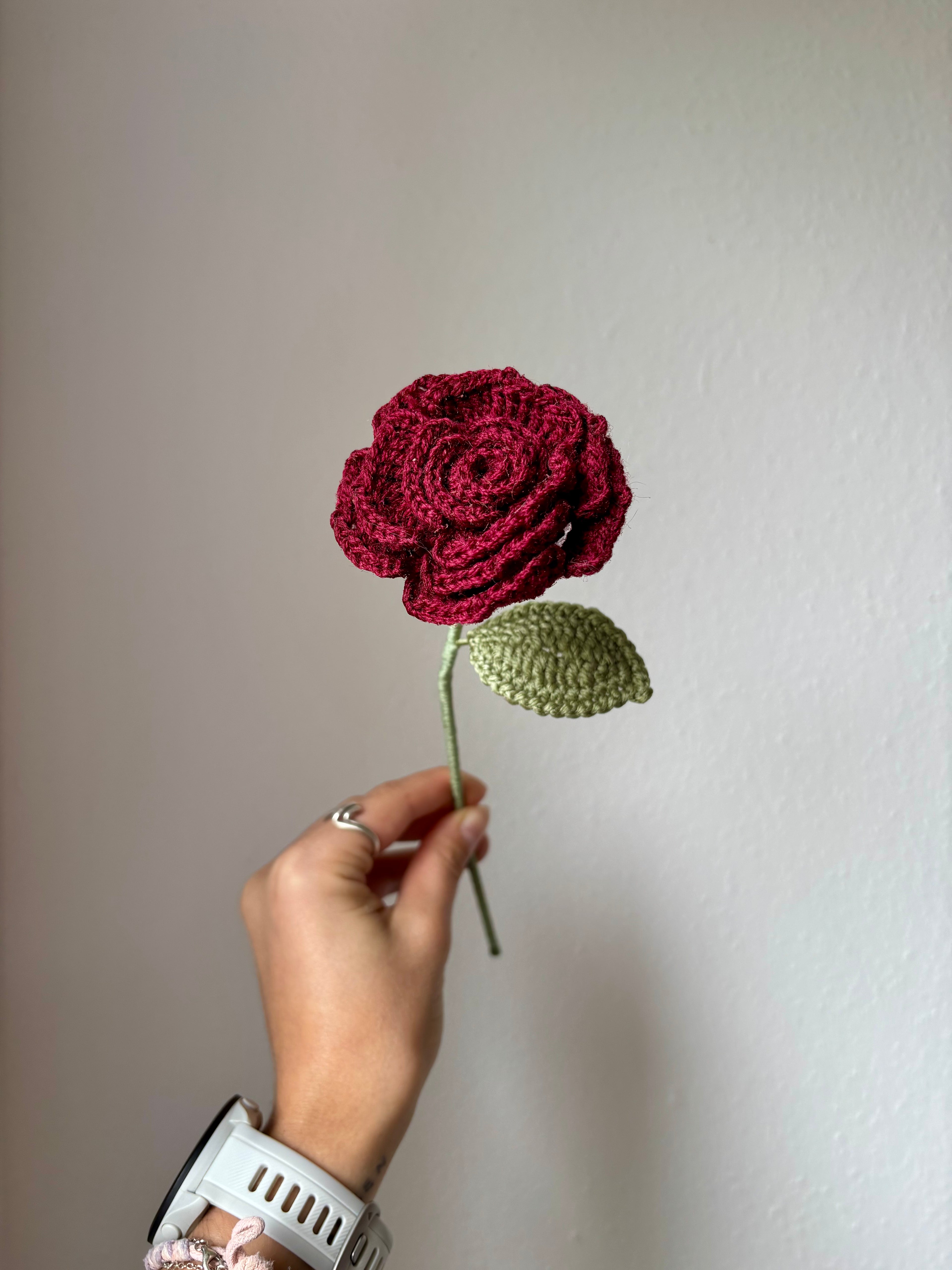 Rose étoilée