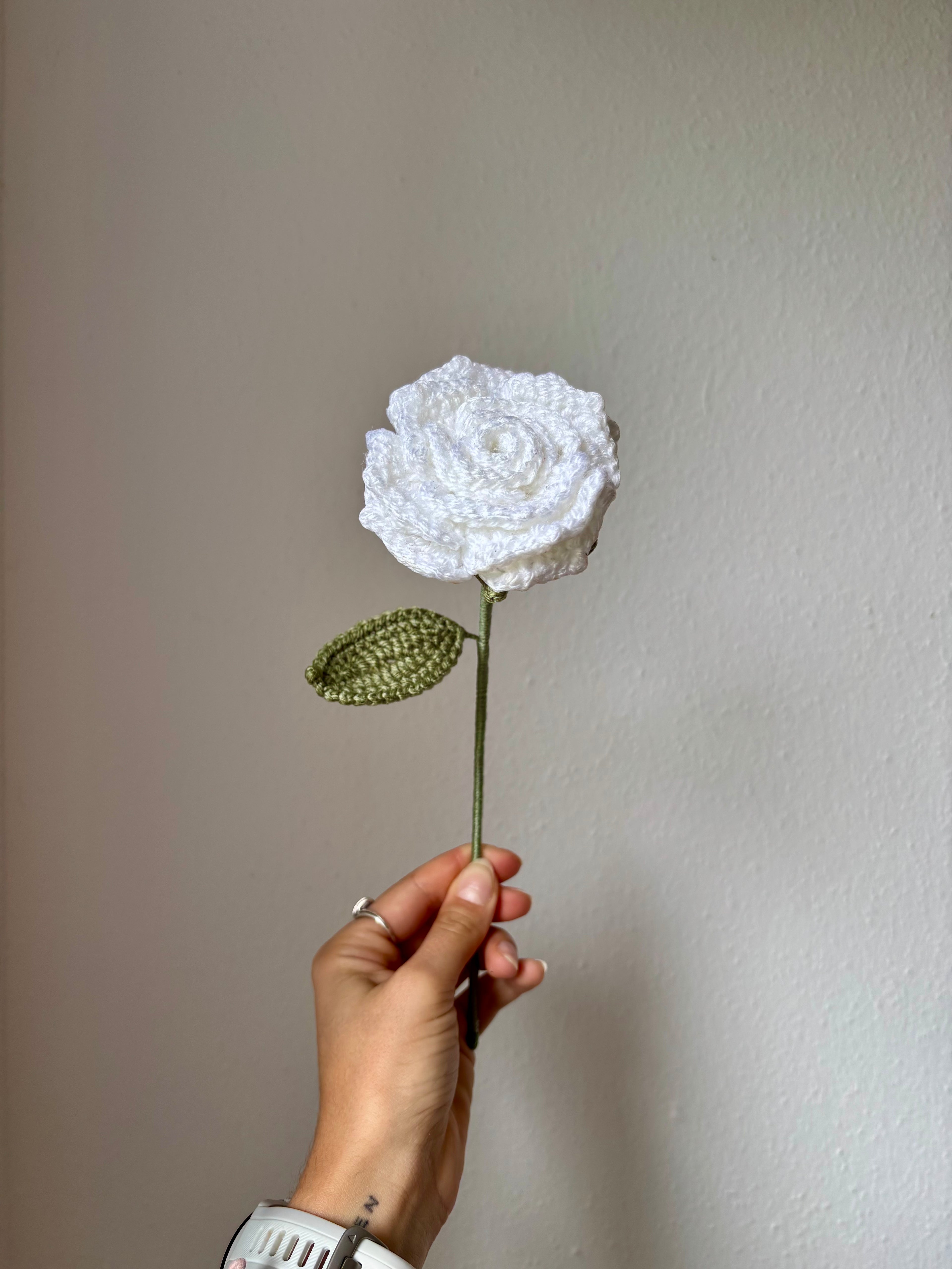Rose étoilée